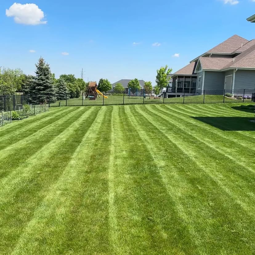 Lush green lawn with neatly striped patterns and a clear blue sky in the background.
